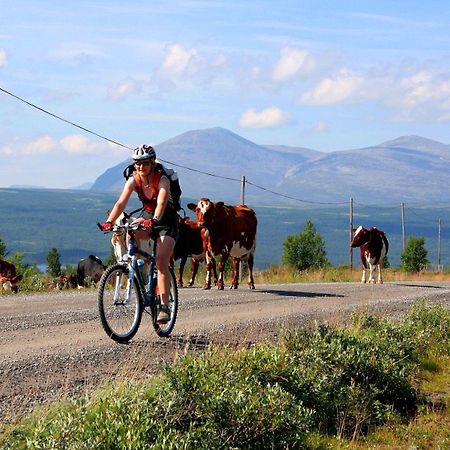 Furulund Pensjonat Ron Esterno foto