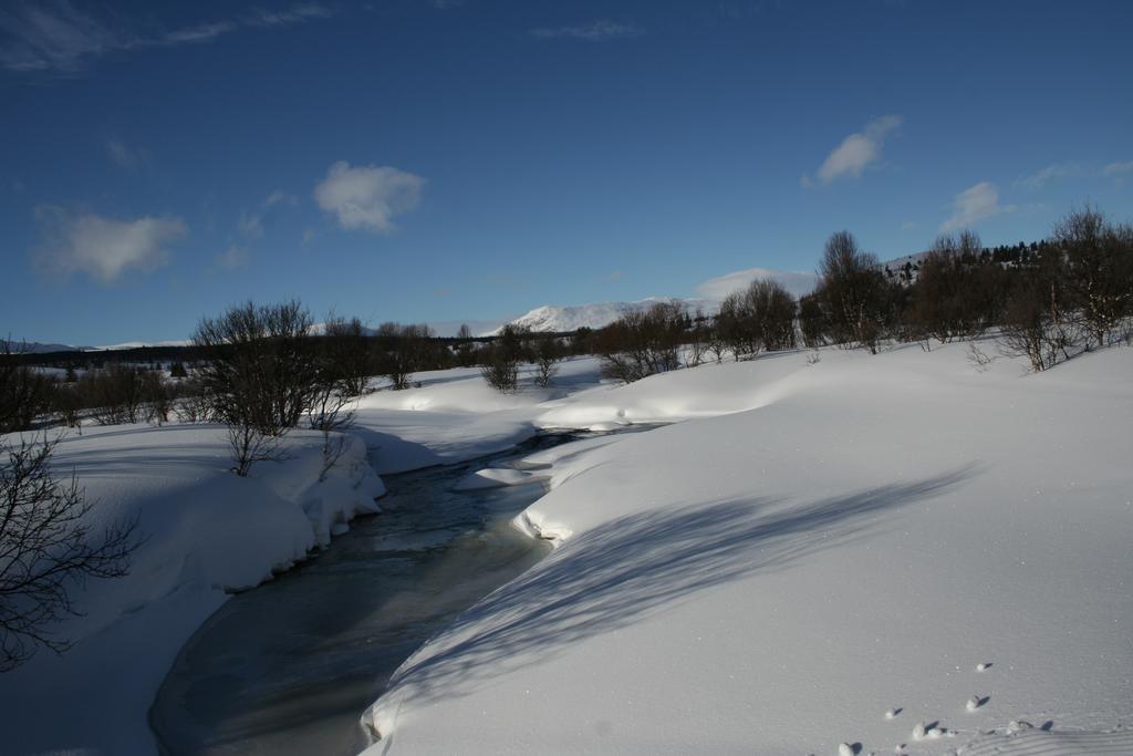 Furulund Pensjonat Ron Esterno foto