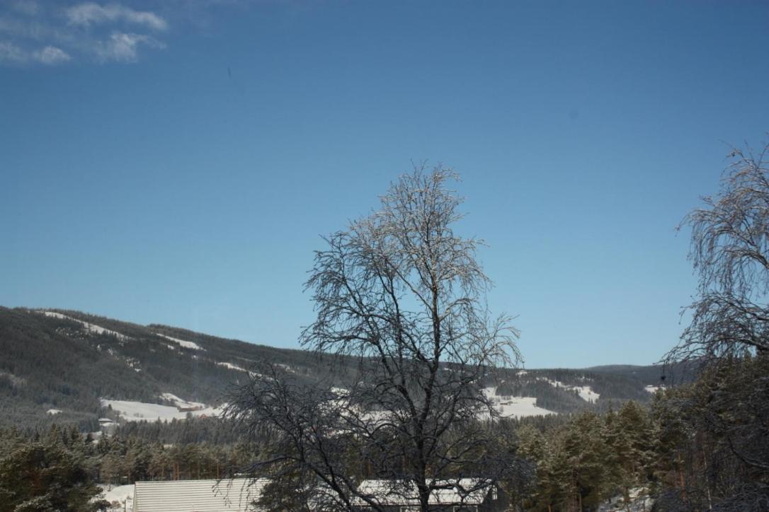Furulund Pensjonat Ron Esterno foto